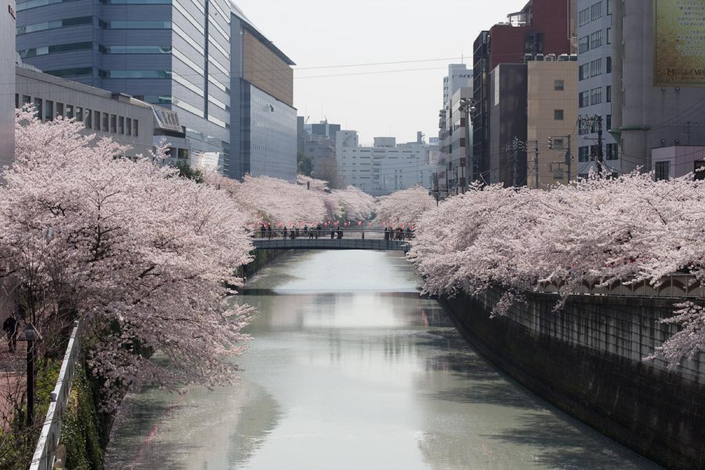 Nesthotel Alt Meguro Ekimae Tokio Buitenkant foto